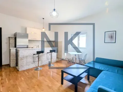 Rent, one bedroom apartment, 48m², Zabjelo, Podgorica - image 2