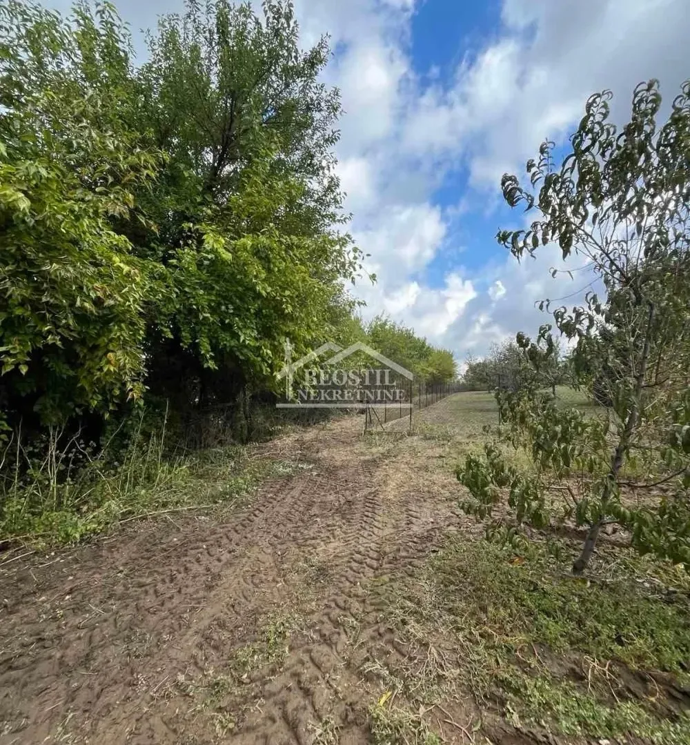 Prodaja, plac, 1232m², Jugovo, Smederevo
