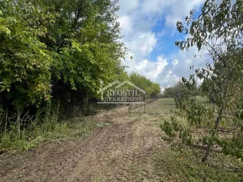Prodaja, plac, 1232m², Jugovo, Smederevo - image 9