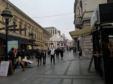 Izdavanje, četvorosoban stan, 80m², Stari Grad, Beograd - image 13