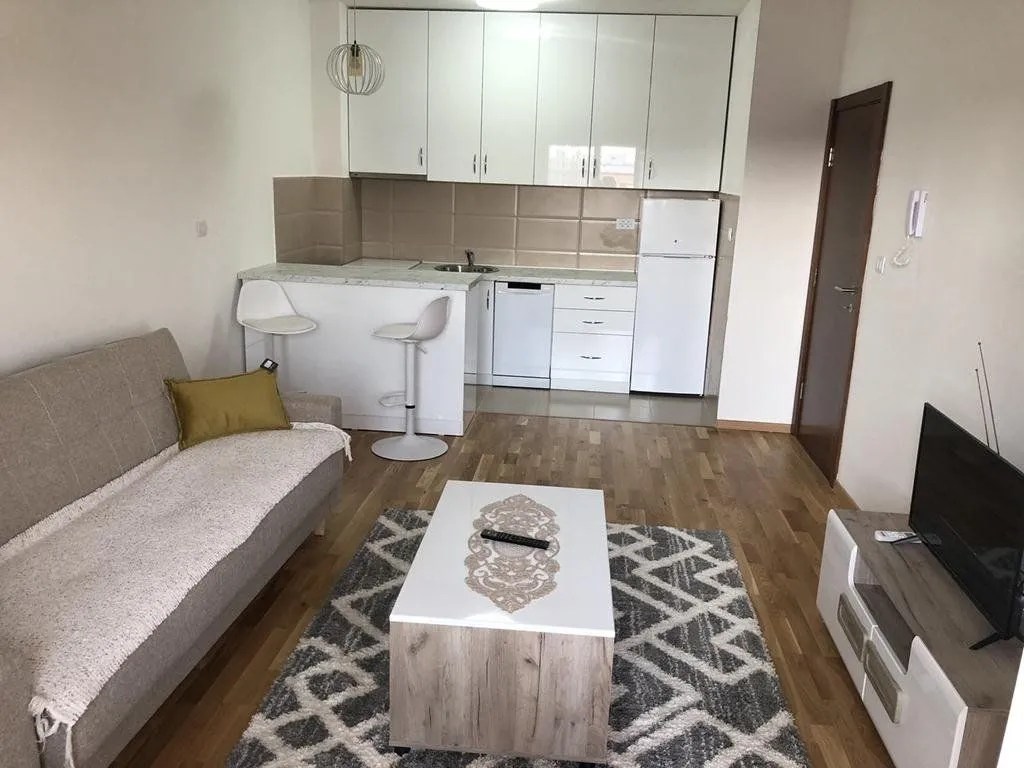 Izdavanje, jednosoban stan, 50m², Tuški Put, Podgorica