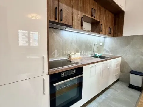 Rent, one bedroom apartment, 45m², Zabjelo, Podgorica - image 7