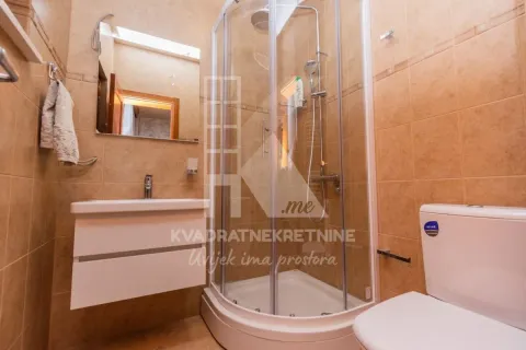 Izdavanje, kuća, 600m², Zeta, Podgorica - image 16