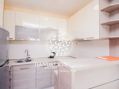 Izdavanje, jednosoban stan, 43m², Stari Aerodrom, Podgorica - image 11