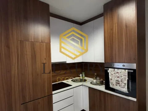 Izdavanje, jednosoban stan, 37m², Murtovina, Podgorica - image 4