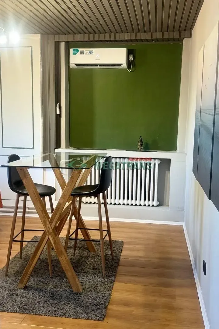 Rent, two bedroom apartment, 55m², Vračar Sve Podlokacije, Beograd