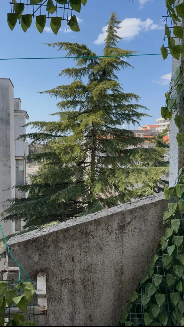 Prodaja, trosoban stan, 84m², Centar, Bar