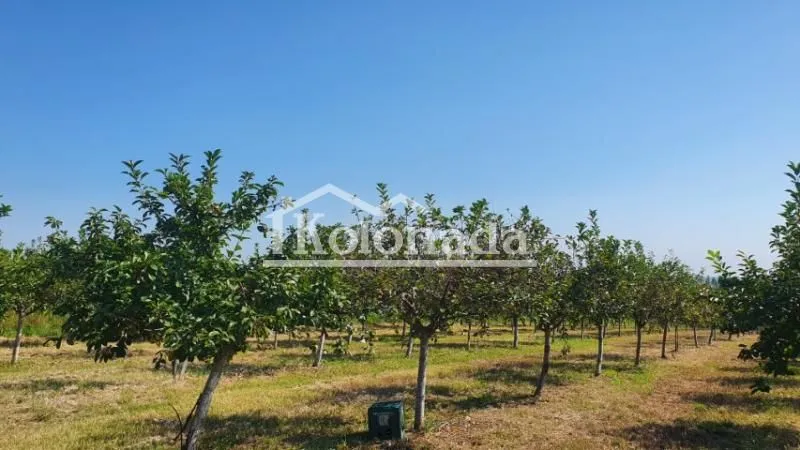 Prodaja, plac, 13400m², Djurinci, Sopot