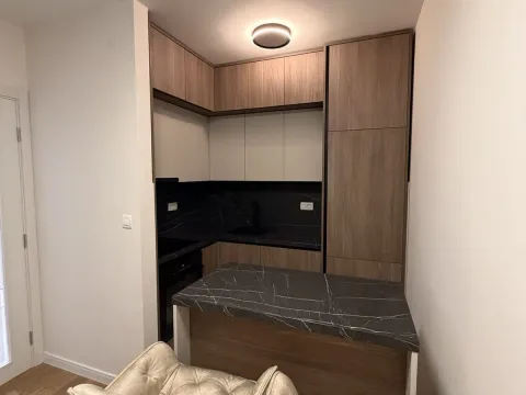 Izdavanje, jednosoban stan, 47m², Central Point, Podgorica - image 6