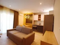 Izdavanje, jednosoban stan, 50m², Mažina, Tivat - image 1