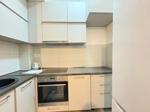 Izdavanje, jednosoban stan, 60m², Zagorič, Podgorica - image 5