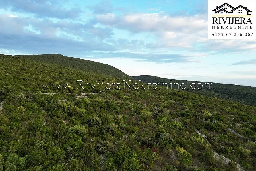 Prodaja, plac, 2216m², Glavatičići, Kotor