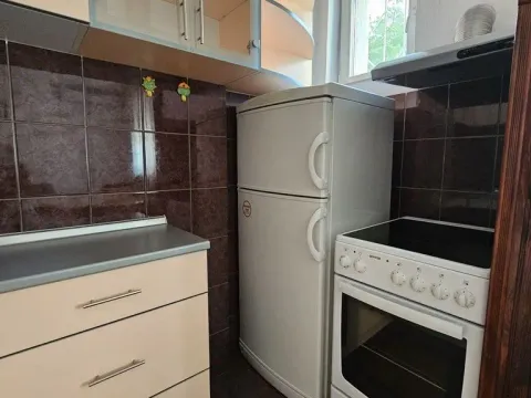 Rent, one bedroom apartment, 42m², Karaburma, Palilula Sve Podlokacije - image 5