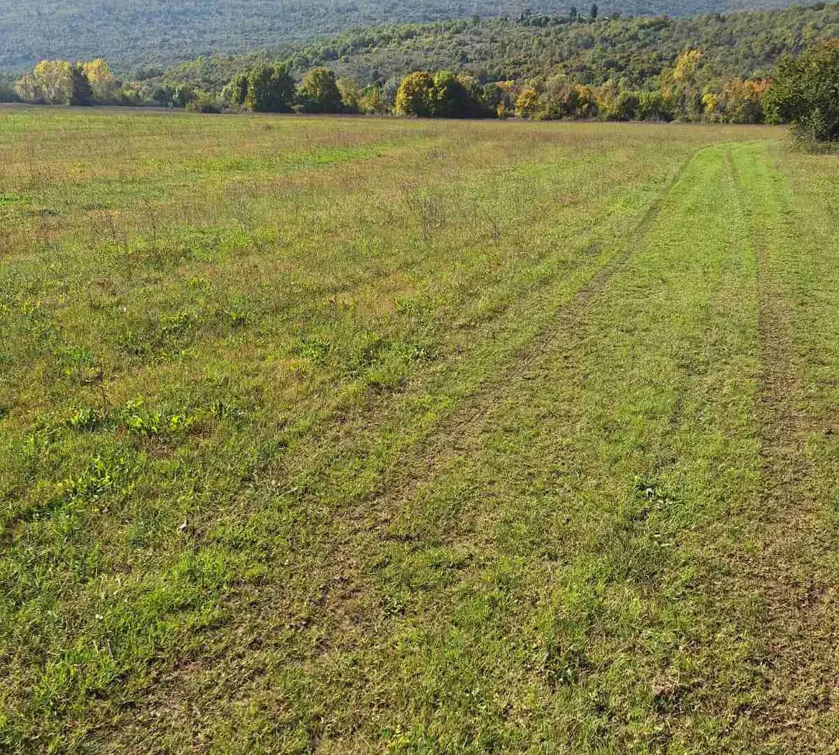 Prodaja, plac, 9000m², Podgorica, Crna Gora