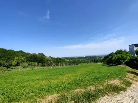 Prodaja, plac, 5600m², Novi Sad, Srbija - image 13