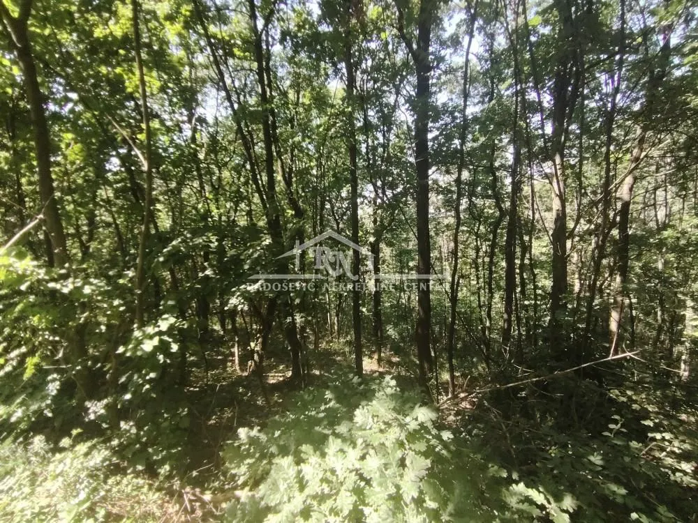 Sale, land lot, 1800m², Sopot, Beograd