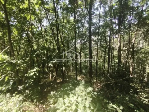 Sale, land lot, 1800m², Sopot, Beograd - image 3