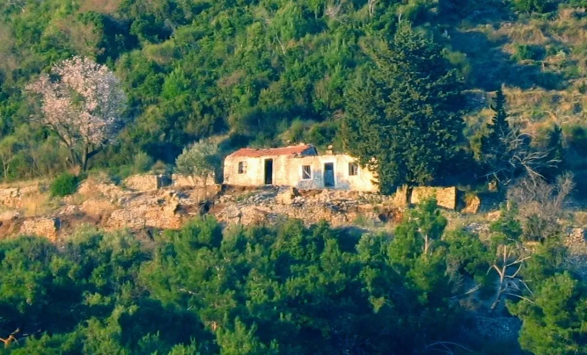 Prodaja, plac, 11246m², Budva, Crna Gora