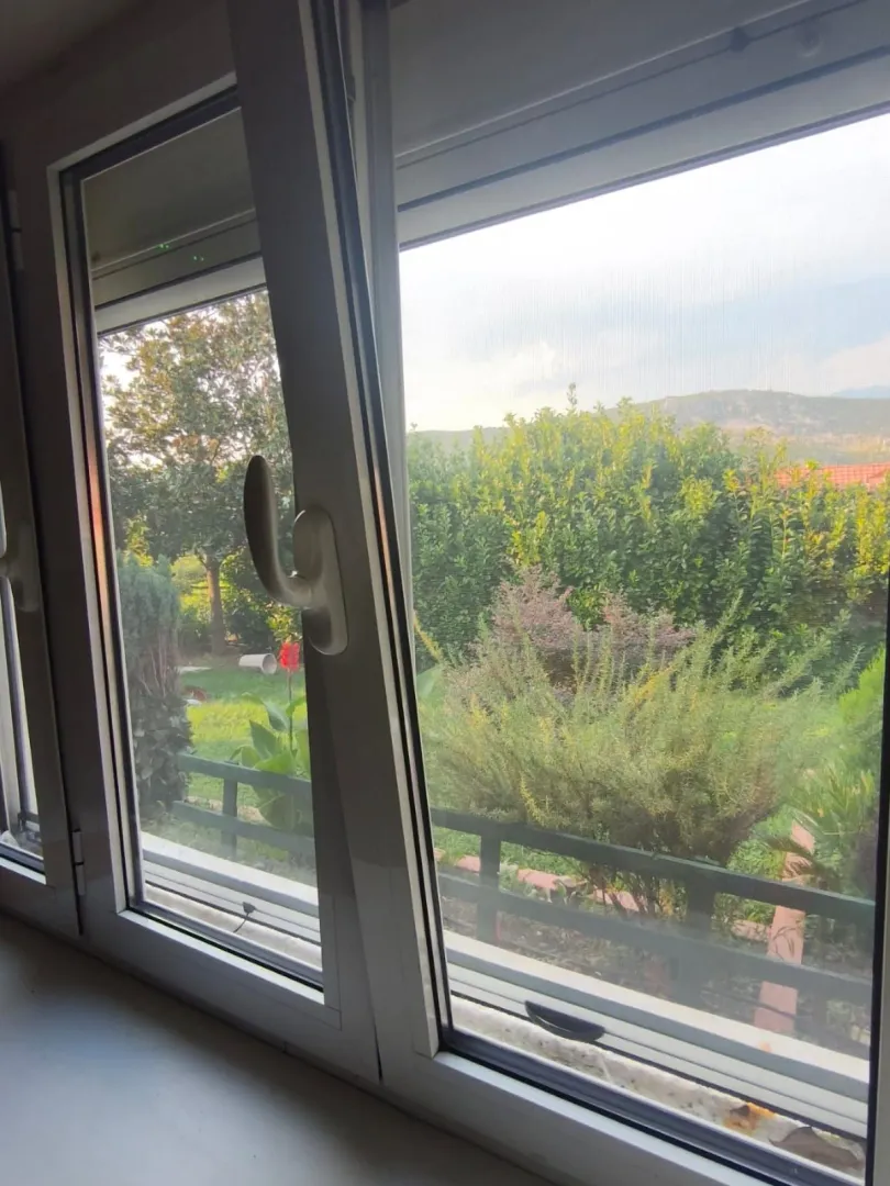 View through the window overlooking greenery and the yard.