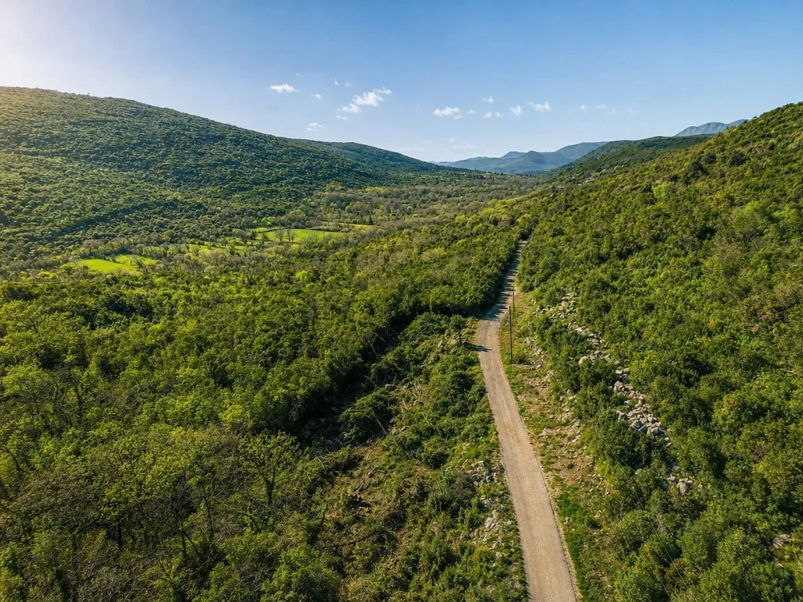 Pogled iz vazduha na zelenu dolinu i seoski put okružen brdima.