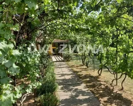 Prodaja, kuća, 158m², Sremska Kamenica, Petrovaradin - image 3