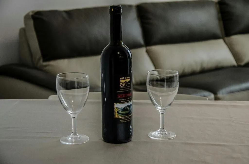 Izdavanje, jednosoban stan, 45m², Centar, Podgorica