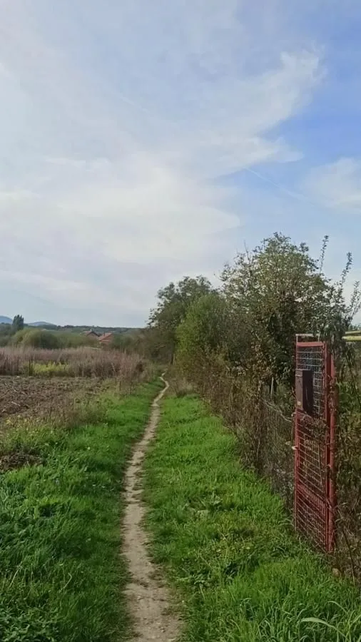 Prodaja, plac, 660m², Jagodina, Srbija