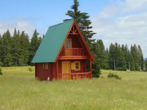 View of a wooden cottage surrounded by nature and forest. - image 3