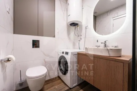 Modernly equipped bathroom with a washbasin, toilet, and washing machine. - image 13