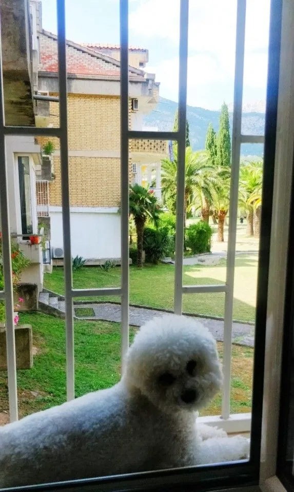 Rent, apartment, 46m², Budva, Crna Gora