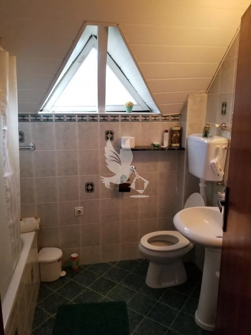 Sale, house, 250m², Mladenovac, Beograd