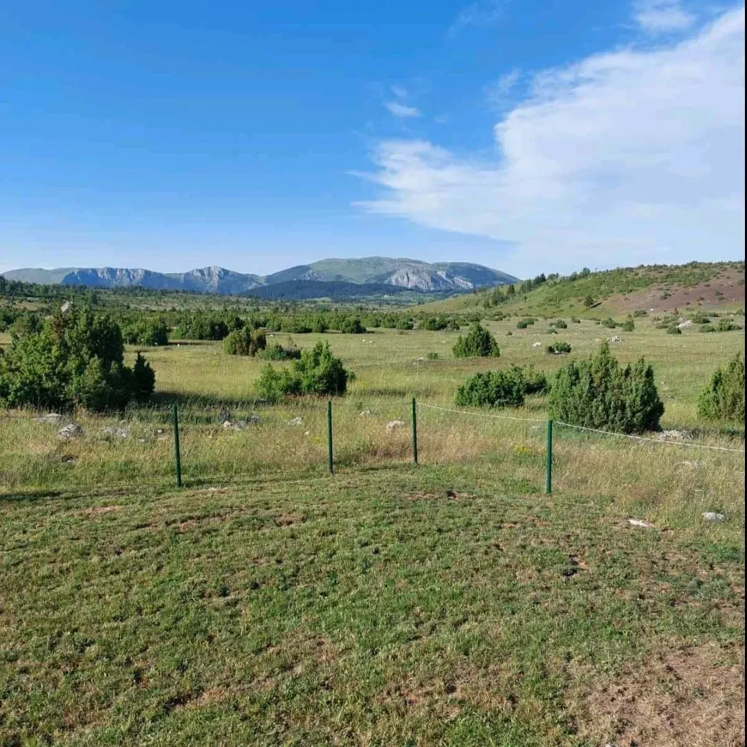 Sale, house, 54m², Kovačka Dolina, Žabljak