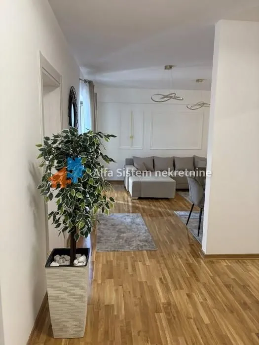 Izdavanje, dvosoban stan, 59m², Hala Pionir, Palilula Sve Podlokacije