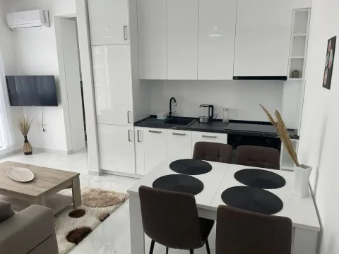 Daily-rent, one bedroom apartment, 40m², Ulcinjsko Polje, Ulcinj - image 6