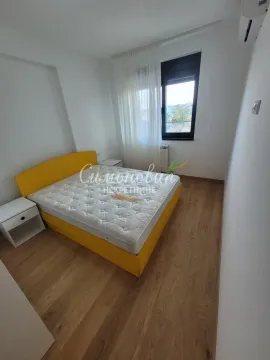 Izdavanje, dvosoban stan, 49m², Trošarina, Voždovac Sve Podlokacije - image 16