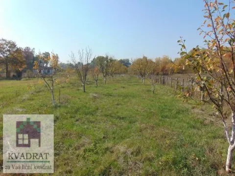 Prodaja, plac, 3000m², Draževac, Obrenovac - image 4