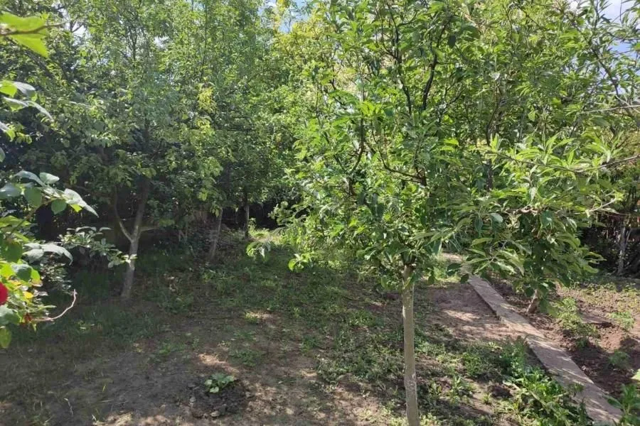 Prodaja, kuća, 70m², Kudeljarski Nasip, Pančevo