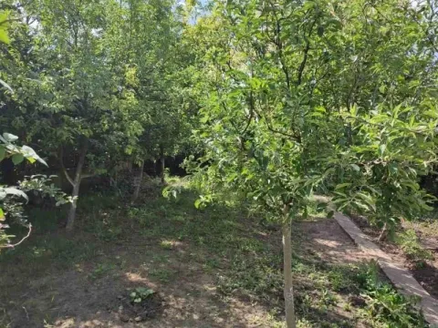 Prodaja, kuća, 70m², Kudeljarski Nasip, Pančevo - image 19
