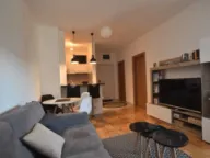 Rent, one bedroom apartment, 45m², Ljubović, Podgorica - image 5