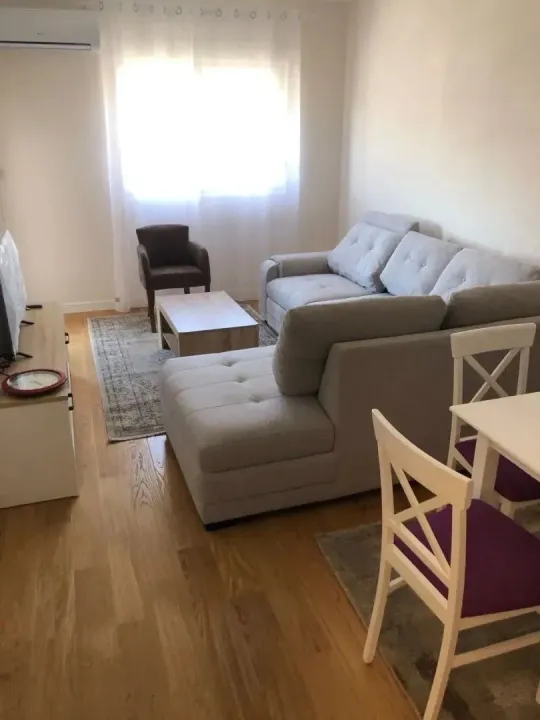 Izdavanje, jednosoban stan, 47m², Central Point, Podgorica