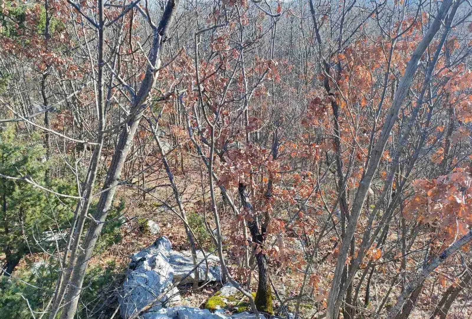 Prodaja, plac, 20937m², Cetinje, Crna Gora