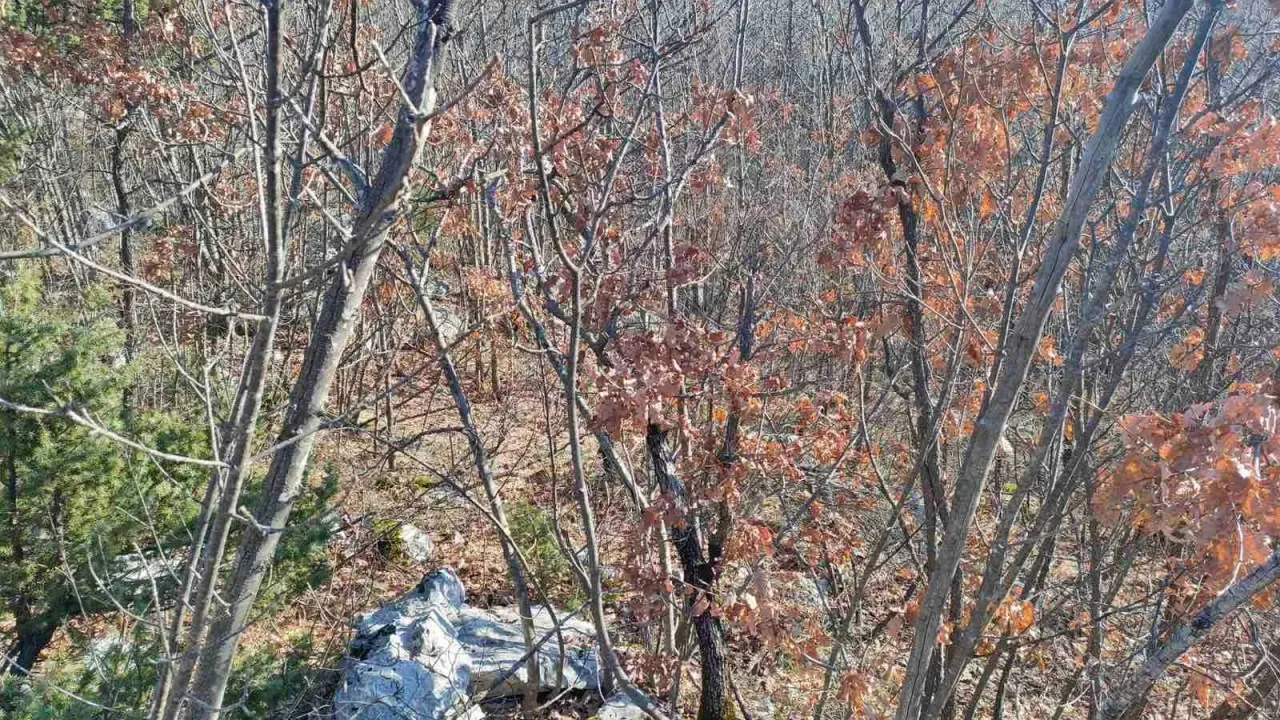 Prodaja, plac, 20937m², Cetinje, Crna Gora