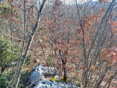 Prodaja, plac, 20937m², Cetinje, Crna Gora