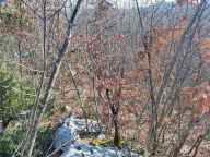 Prodaja, plac, 20937m², Cetinje, Crna Gora - image 1