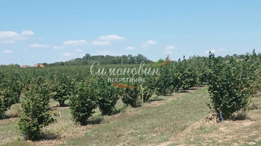 Prodaja, plac, 63000m², Centar, Ub