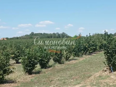 Sale, land lot, 63000m², Centar, Ub - image 3