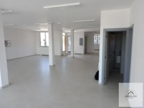 Izdavanje, poslovni prostor, 250m², Veternik, Novi Sad Sve Podlokacije - image 2