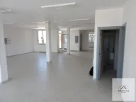 Izdavanje, poslovni prostor, 250m², Veternik, Novi Sad Sve Podlokacije - image 2