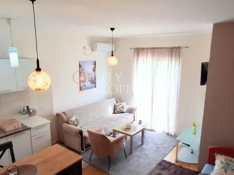 Izdavanje, stan, 30m², Stari Aerodrom, Podgorica - image 5