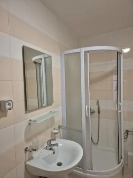 Bright bathroom with a shower cabin and a sink. - image 6